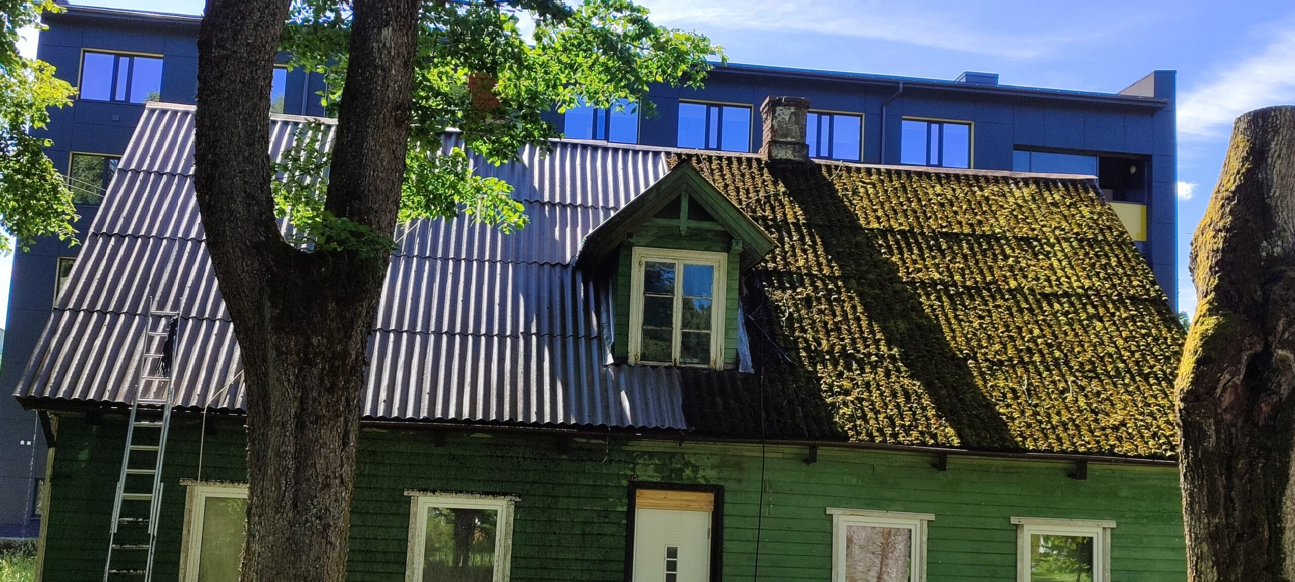 Samblatõrje katusel – miks, millal ja kuidas seda teha?